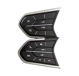 Steering Wheel Switches